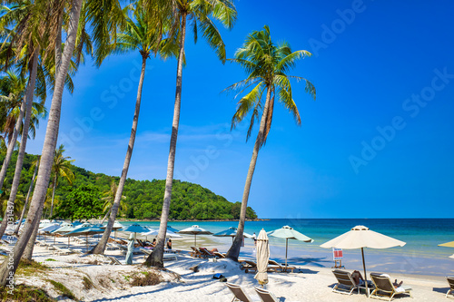 Sandy beach on the bay, tall palm trees, blue sky, sun loungers for relaxation and sunbathing under umbrellas, Phu Quoc island, Vietnam