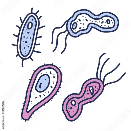 Bacterias cell Vector illustartion in doodle style