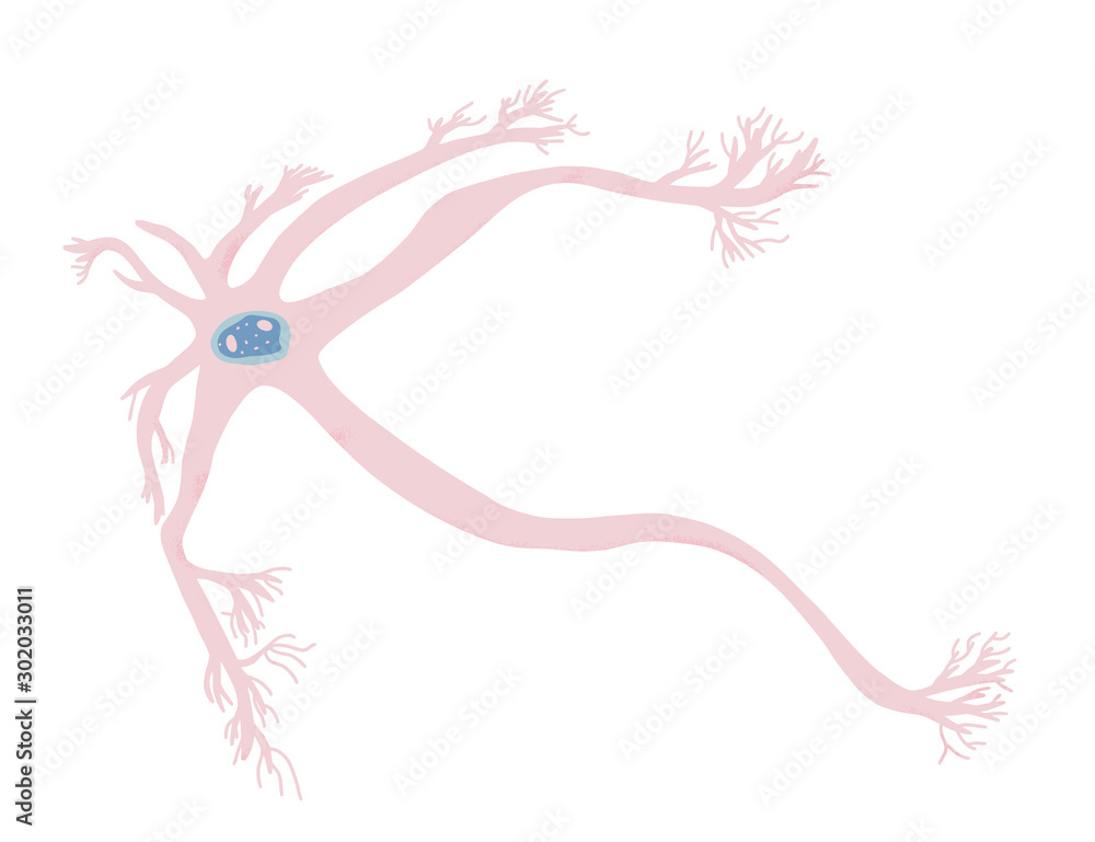 Neuron cells. Vector simple design illustartion. Neuron cells. Vector simple design illustartion.