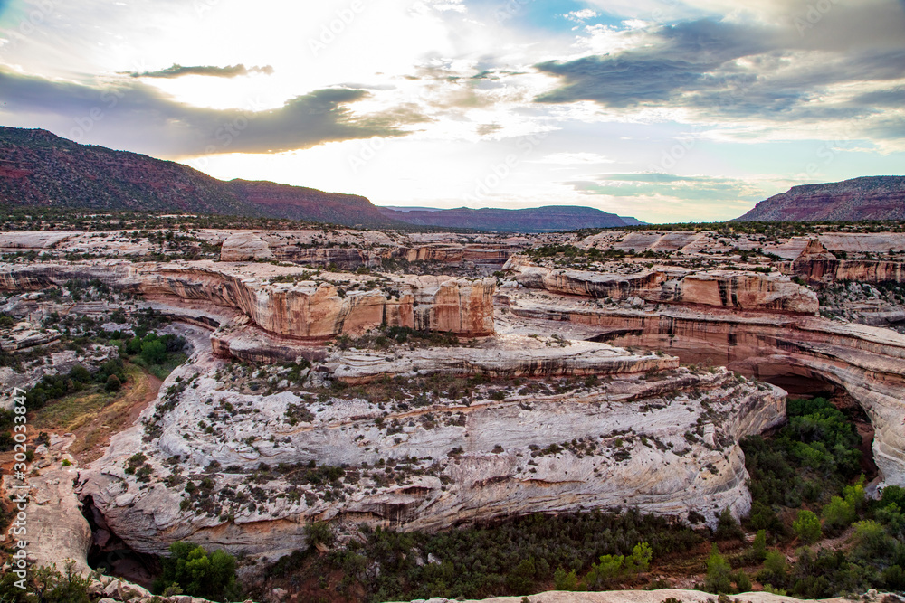 The color contrast of the rock strata and the dark green trees add drama to this beautiful canyon that holds the Kachina Bridge in Natural Bridges National Monument, Utah