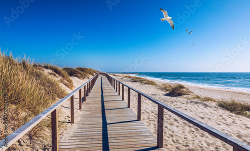 Wooden path at Costa Nova d Aveiro  Portugal  over sand dunes with ocean view and seagulls flying over Praia da Barra. Wooden footbridge of Costa Nova beach in a sunny day. Aveiro  Portugal.