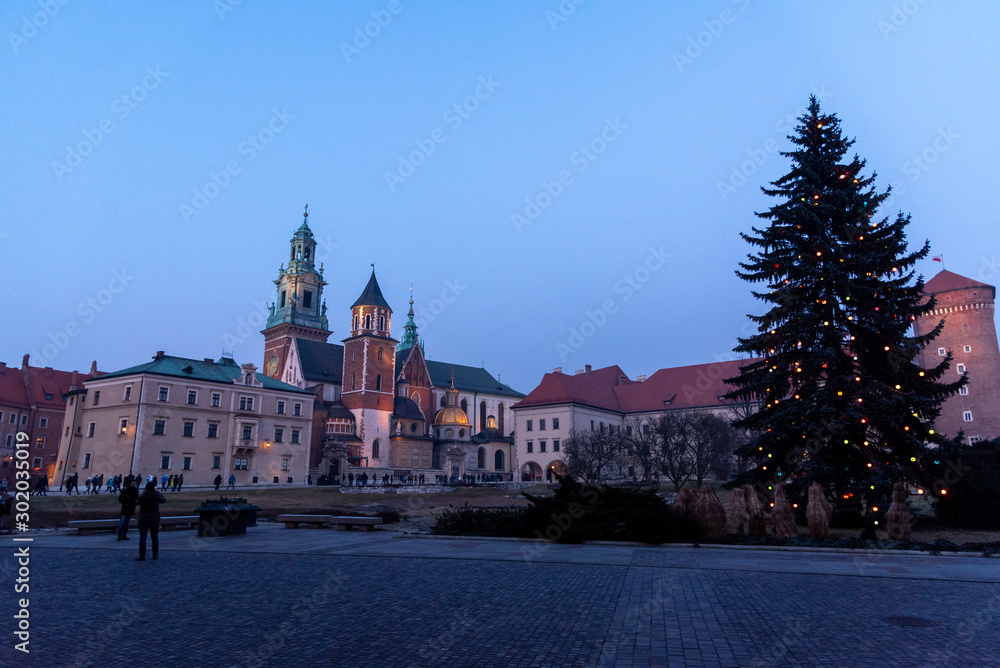 Cracovia - Castello Reale di Wawel