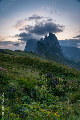 Scenic Mountain View in the Dolomites with Flowers in the Foreground during Sunrise