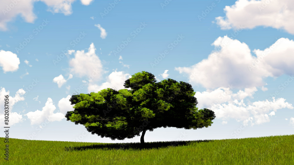 Obraz premium One Tree At Sky Background 3D Rendering