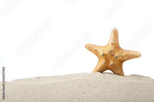 sand, shells and starfish isolated on white. place for text, travel, sea.