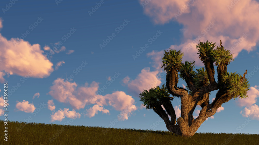 Palm trees silhouette on sunset 3D Rendering Palm trees silhouette on sunset 3D Rendering