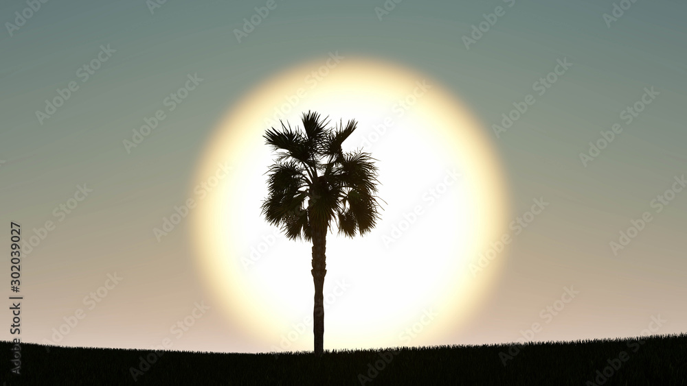 Obraz premium Palm trees silhouette on sunset 3D Rendering