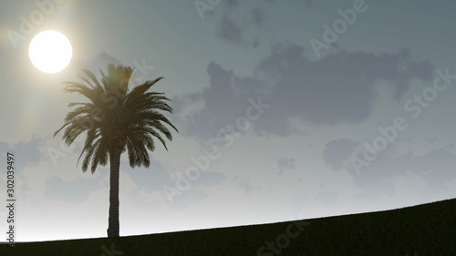 Palm trees silhouette on sunset 3D Rendering