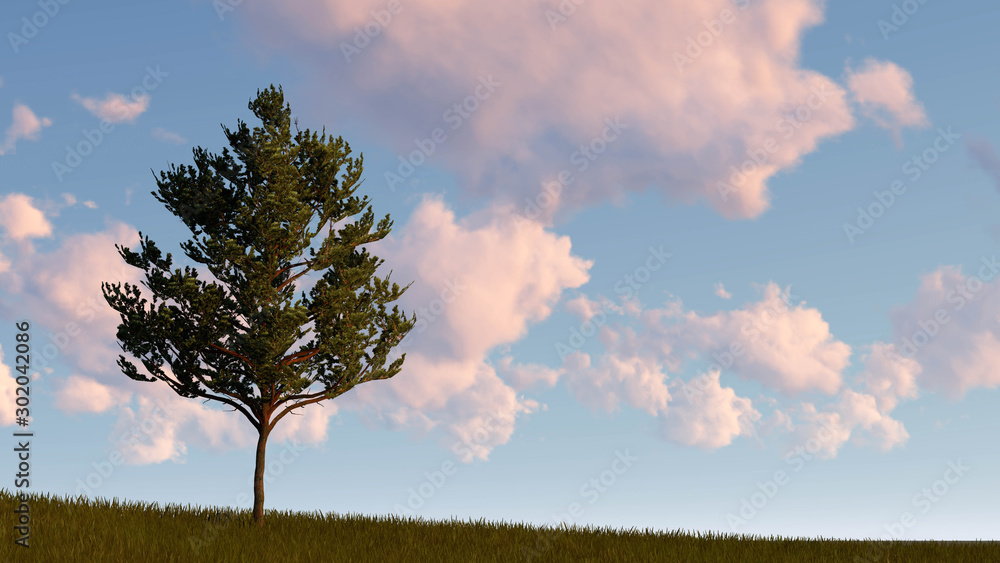 Fototapeta premium Lonely tree landscape 3D Rendering