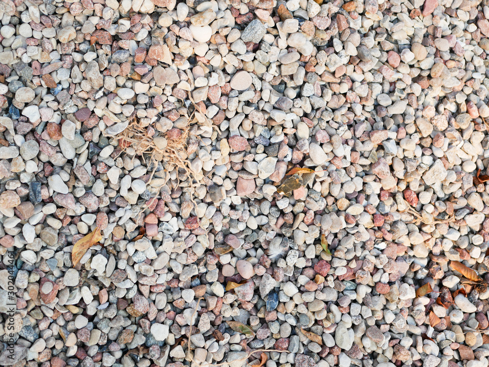 Pebbles closeup. High quality close up photo of various pebbles. On a sunny day. dry stone Pebbles closeup. High quality close up photo of various pebbles. On a sunny day. dry stone
