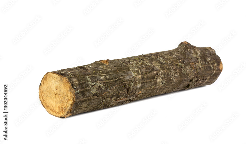 Wooden hornbeam log isolated on white background close up Wooden hornbeam log isolated on white background close up
