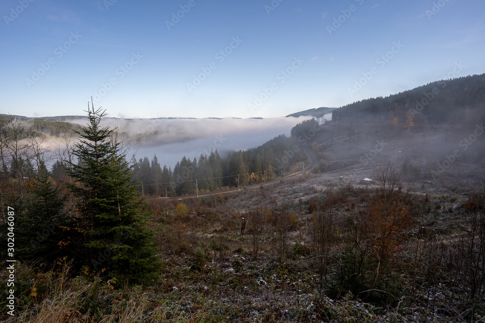 Landschaft um den Titisee - Schwarzwald 