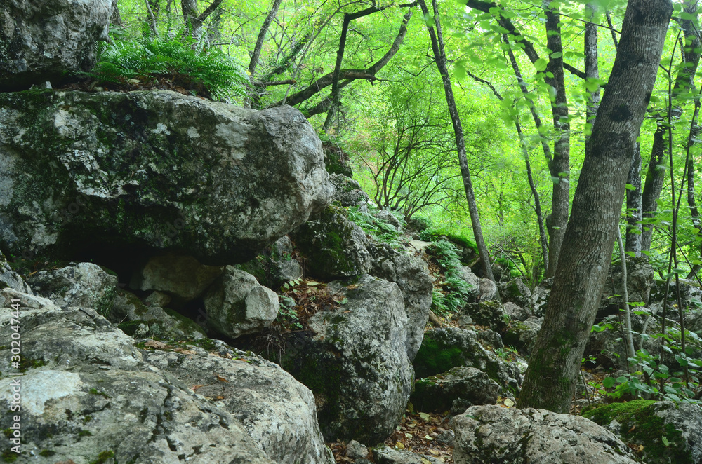 Forests and mountains beautiful landscape, Crimea Forests and mountains beautiful landscape, Crimea