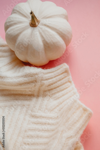 Fall composition with white sweater and pumpkin