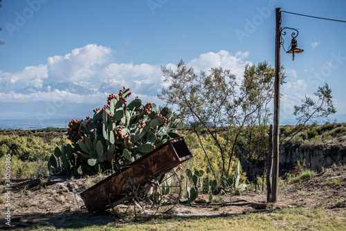 Tunuyan is Beautiful, Argentina, Summer 2019 photo