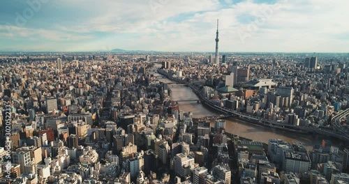 Aerial shot of central Tokyo at dawn, Japan