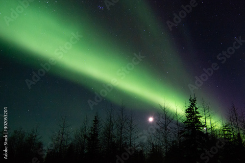 northern lights in canada