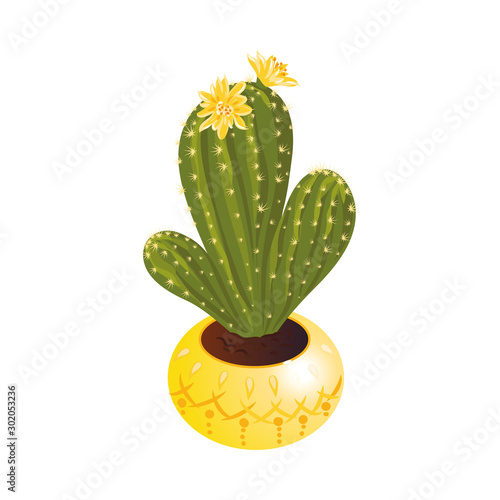 Decorative green blooming cactus with flowers in a yellow pot. Vector illustration in flat cartoon style.
