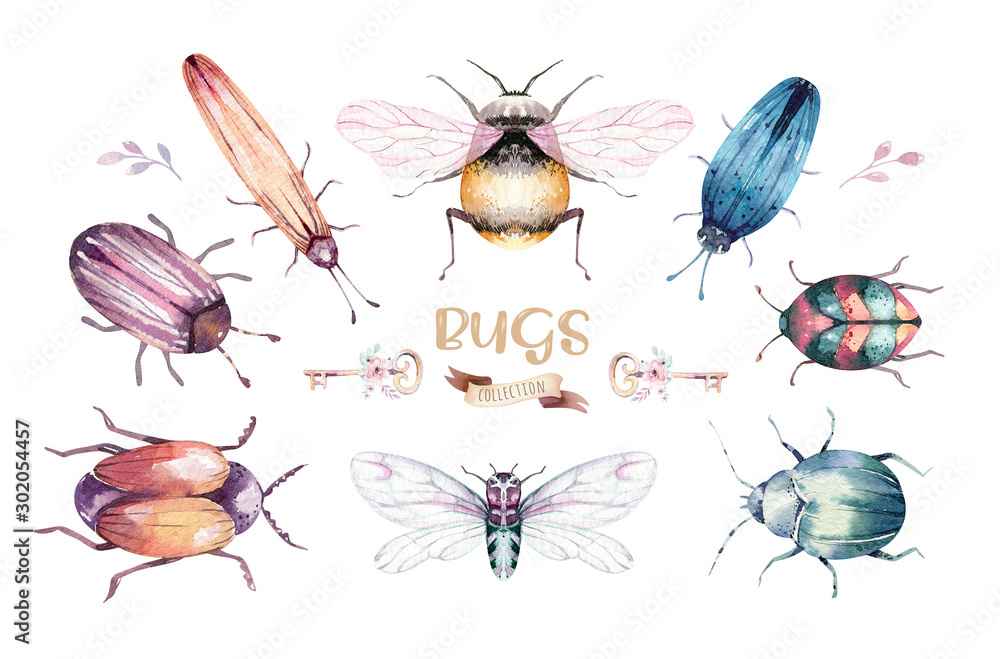 Bugs flies
