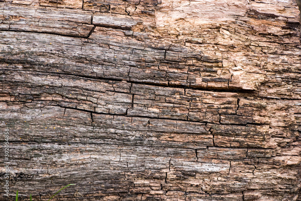 Old wooden boards with peeling paint. Old background. Textured planks of oak and pine. Bright colours. Natural aging of the material.