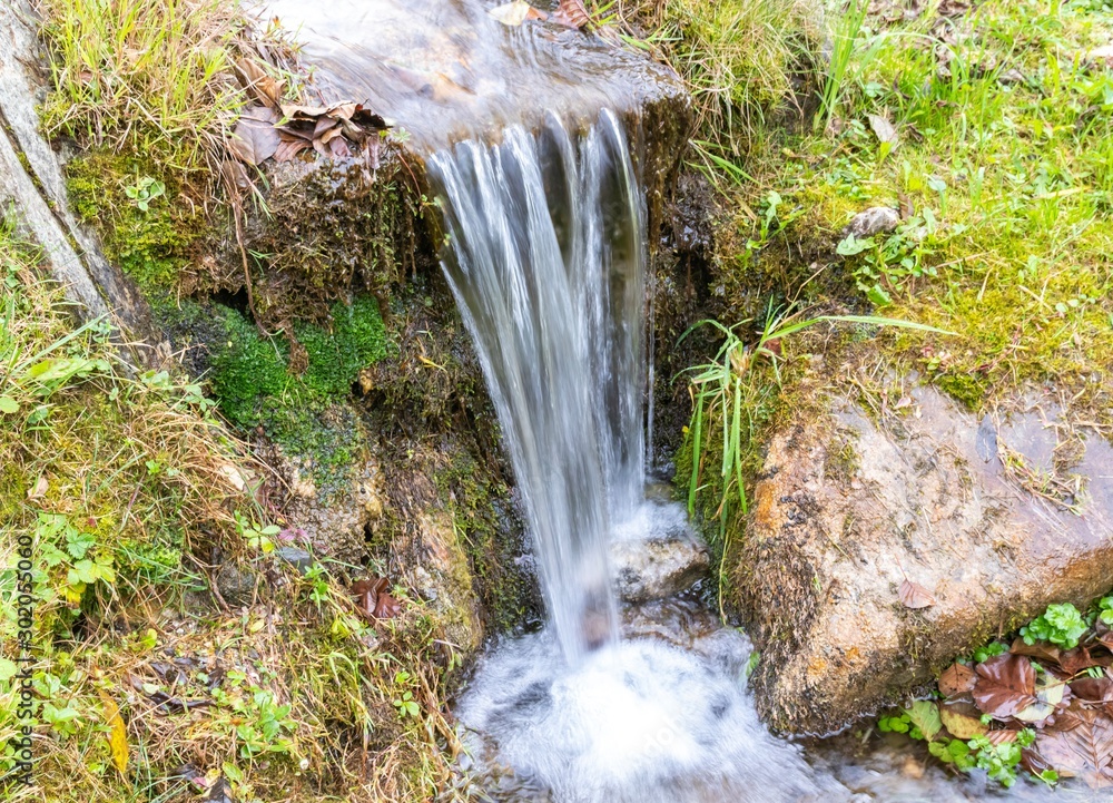 Fototapeta premium Just a little river