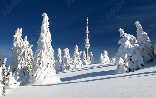 television transmitter praded and snowcapped trees © Daniel Prudek