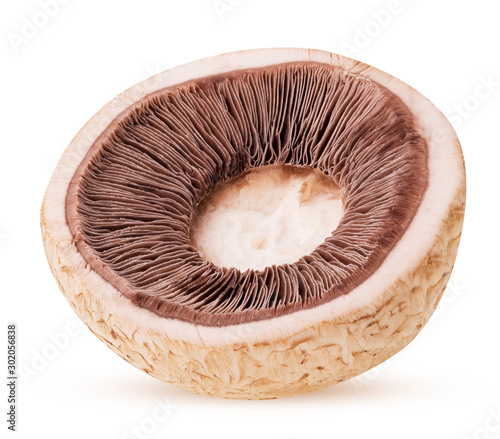 Mushroom champignon cut in half