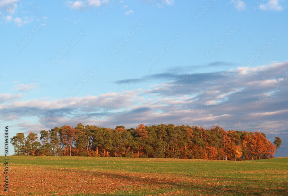 multi colored autumn landscape