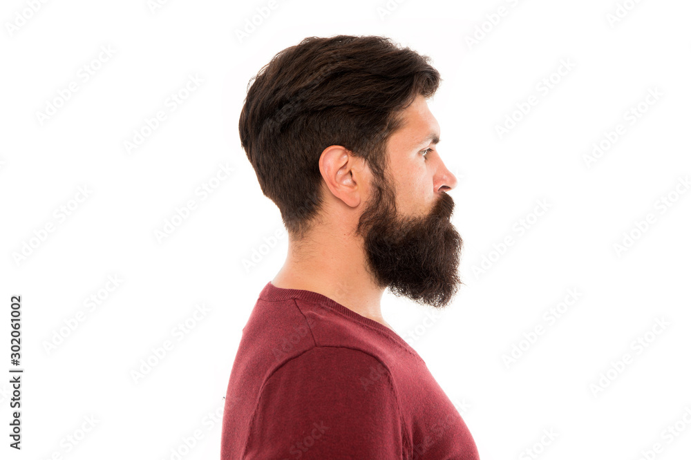 Making his beard perfect. mature bearded man profile. hipster with moustache and beard. hipster after barbershop. male fashion and beauty. beard hair care. brutal man isolated on white background Making his beard perfect. mature bearded man profile. hipster with moustache and beard. hipster after barbershop. male fashion and beauty. beard hair care. brutal man isolated on white background