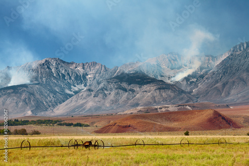 Waldbrand in der Sierra Nevada bei Bishop, Owens Valley, CA, USA