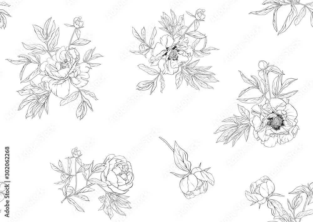 Peony flowers. Seamless pattern, background. Outline hand drawing vector illustration. In botanical style Isolated on white background..