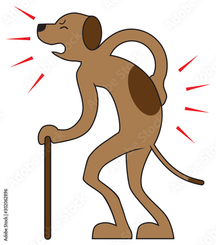Old Dog Aches and Pains