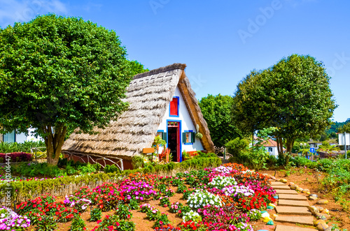 Amazing traditional houses in Santana, Madeira, Portugal. Wooden, triangular houses represent a part of Portuguese heritage. Front garden with beautiful colorful flowers. Tourist landmark photo