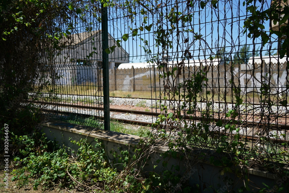 An old railroad facility with partially rotted railroad wagons An old railroad facility with partially rotted railroad wagons