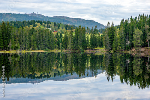 Fototapeta Naklejka Na Ścianę i Meble -  Forest reflected in the lake. Norwegian landscape.