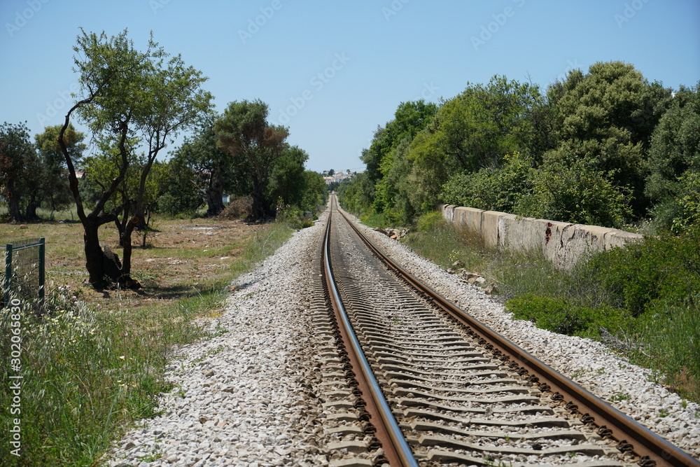 Fototapeta premium An old railroad facility with partially rotted railroad wagons