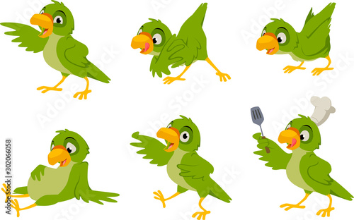 Vector illustration of a cute parrot or bird in various poses