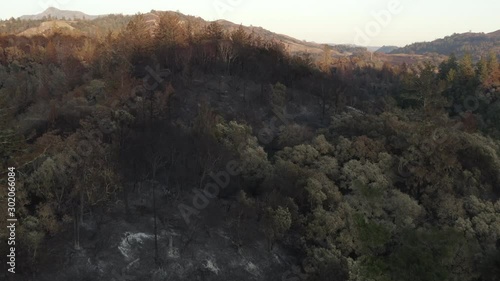 Aerial footage of burnt and charred hillside from Kincade wildfire in Healdsburg, California photo