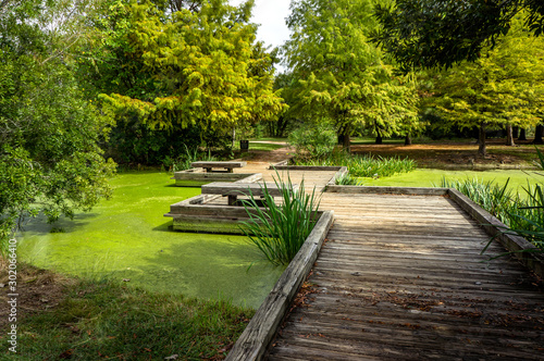Beautiful park in Houston. Texas. United States