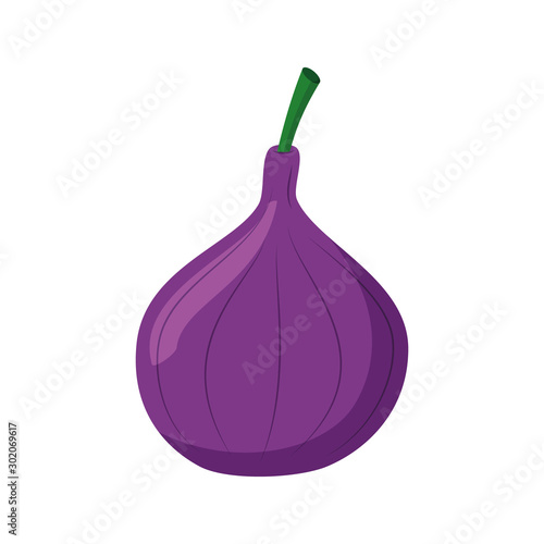 Vector illustration of a funny fig in cartoon style.