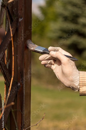 Odnawianie i  konserwacja pergoli ogrodowej. Dłoń mężczyzny w gumowej rękawiczce trzyma pędzel i maluje na kolor brązowy drewnianą deskę ogrodowego mebla.