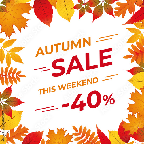 Abstract Vector Illustration Autumn Sale Banner Background with Falling Autumn Leaves.