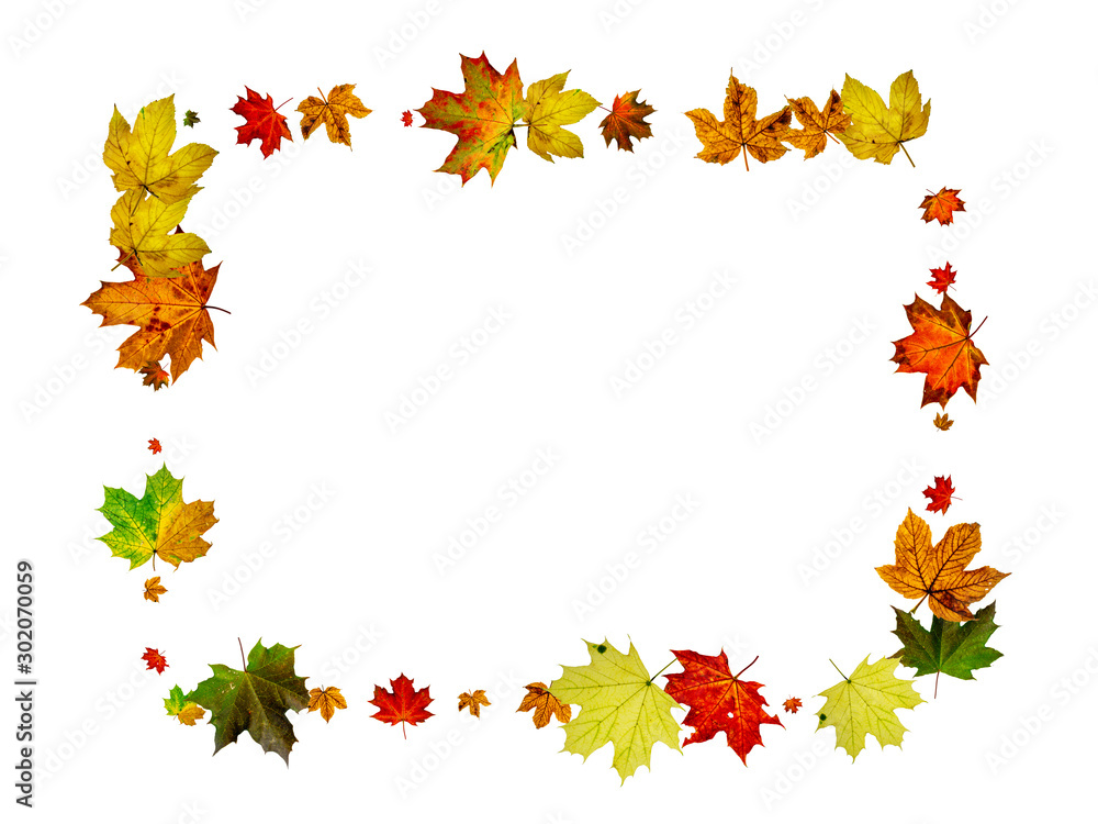 Autumn leaves wind. November falling pattern background. Season concept Autumn leaves wind. November falling pattern background. Season concept