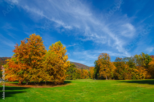 Colorful and vivid autumn colors and bright blue sky in the park