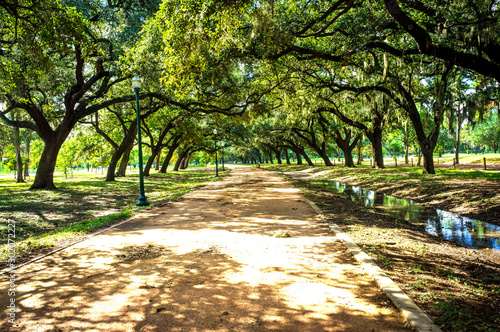 Beautiful park in Houston. Texas. United States