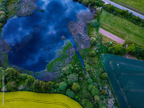 Fototapeta Naklejka Na Ścianę i Meble -  Reflection of dramatic cloud in pond next to yellow rape field