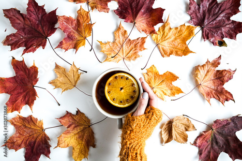 Kolorowe liście na białym tle. Jesienna kompozycycja z kubkiem herbaty.