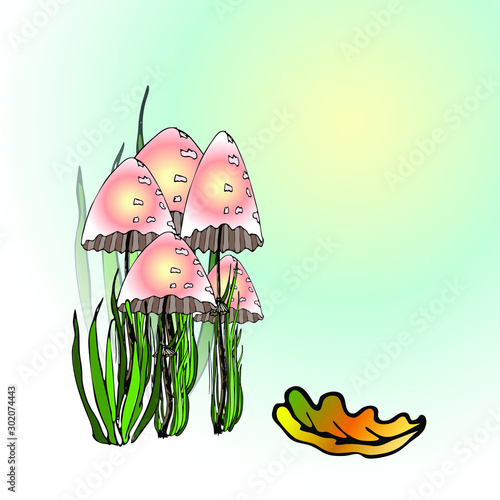 poisonous mushrooms with a black outline. vector illustration.