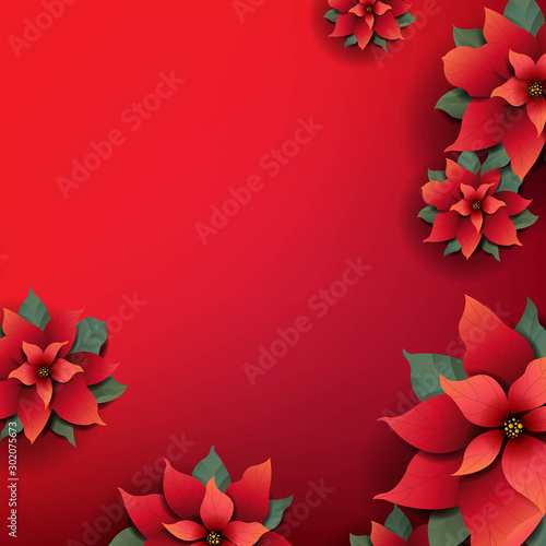 Christmas Background With Red Poinsettia Flowers
