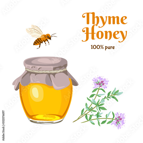 Thyme Honey isolated on white background. Vector illustration of floral, herbal honey in a glass jar, with branches of wild blooming thyme and a bee in a cartoon simple flat style.